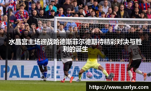 水晶宫主场迎战哈德斯菲尔德期待精彩对决与胜利的诞生